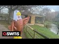 Zoo S Seagull Scaring Jobs Attracts Flock Of Applicants From Around The World SWNS
