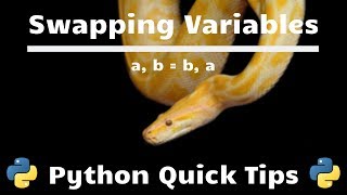 Swap Variables Values in One Line - Python Quick Tips
