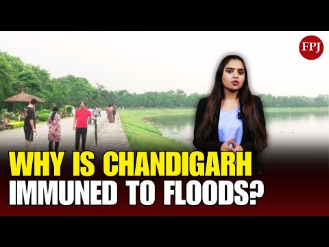 Punjab Floods, But Chandigarh remains unaffected, What's the secret?