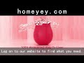 The Rose Toy: is “homeyey.com” really that deal