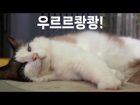 산골짜기에 내려 꽂히는 엄청난 천둥소리에도 잠이 솔솔~