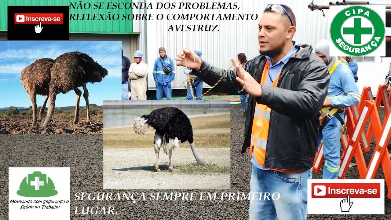 DDS / Palestra; Não se esconda dos problemas, Reflexão sobre o comportamento Avestruz (Rômulo Veras)