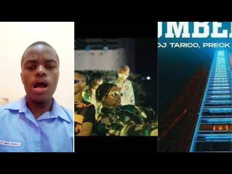 Dj Tarico & Dj Consequence feat. Nelson Tivane & Preck  NUMBER ONE  REACTION