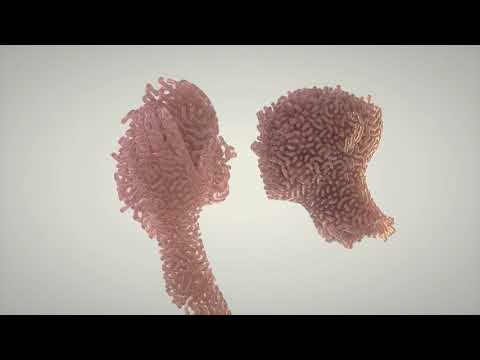 Skor - Miej świadomość feat. Mati, Eripe (Jelly Blend)