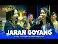 JARAN GOYANG Cantika Nuswantoro OM NIRWANA COMEBACK Live Megaluh JOMBANG