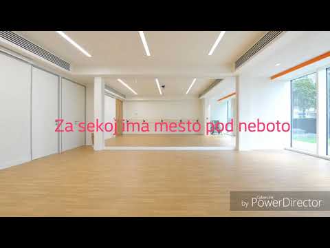 Mina Blažev Dancing Through Life (Lyrics)