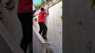 Pulou o Muro e Deu de Cara com Eles! 😱🐕