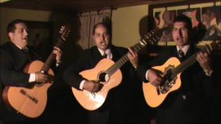 Video de Trio Ensoñación