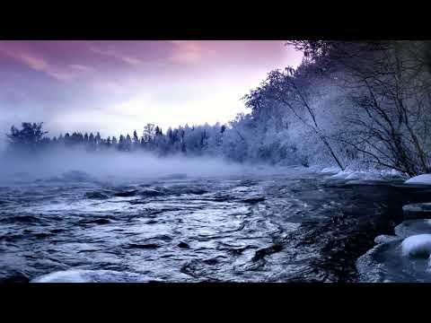 Adam F feat.Tracey Thorn - The Trees knows Everything