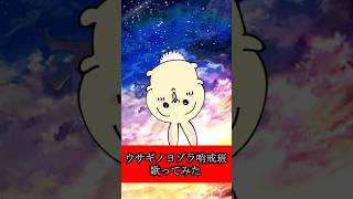 ウサギノヨゾラ哨戒班歌ってみた #p丸様 #ちいかわ  #歌ってみた