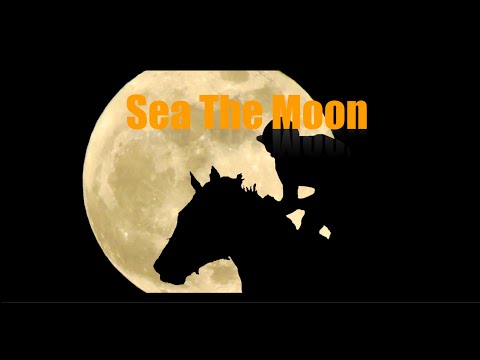 SEA THE MOON - The Song