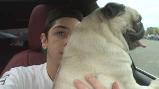 Pray for Bosley | FaZe Rug