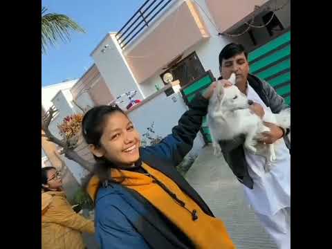 Sourav Joshi Girl Friend Piru Touches Dog for First Time - Piru Touches Oreo #shorts #souravjoshi