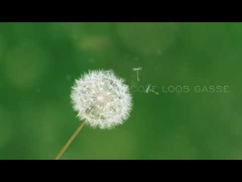 GTVS Adolf-Loos-Gasse 2