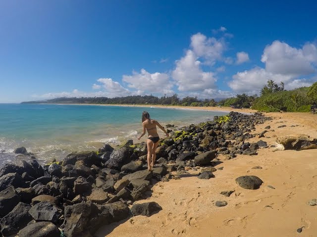 Kauai Snorkeling + Beach Fun