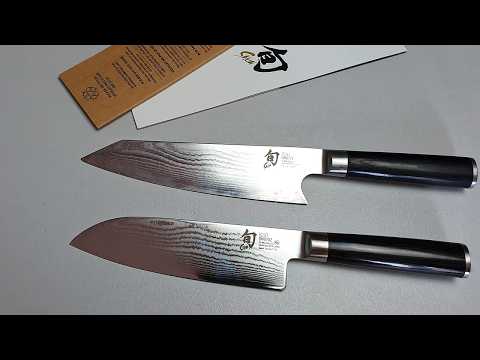Truth About Expensive Chef Knives | Shun Santoku vs Kiritsuke