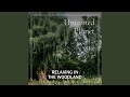 Distant Bird Songs and a Light Breeze Through the Trees