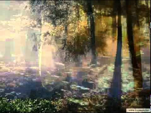 Nashville Teens-Little Bird