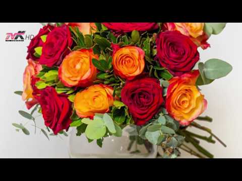 Jetë dhe stil - Domethënia e ngjyrave të trëndafilave