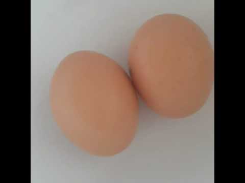 Como hacer BROWNIES desde 0 en casa (los mejores, chocolate en polvo the best)