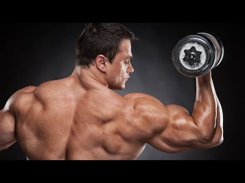 How to Set Up and Use a Wacom Tablet