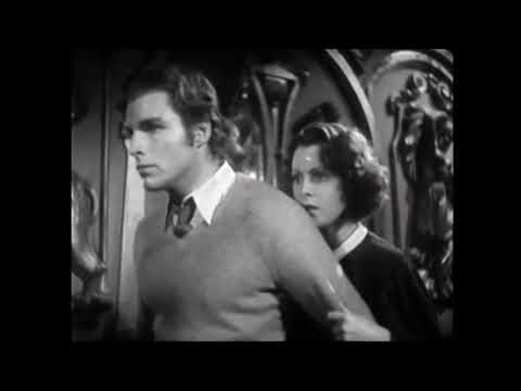 Sumatran Tiger vs 4 African Lions - Sumatran Tiger killed one of the AFrican lions.