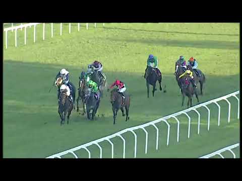 2023.11.12 Premio Vittorio Di Capua (ITA) - Brave Emperor