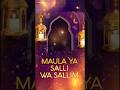 Maula Ya Salli Wa Sallim - Full Audio | Islamic Music | Amjad Nadeem | Yasser Desai