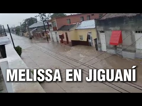 Melissa en Jiguaní: ríos crecidos, casas inundadas y árboles arrancados de raíz