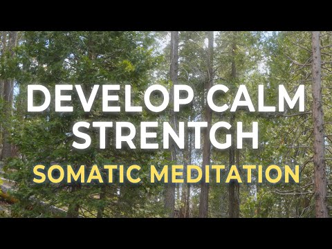 A Somatic Meditation for Soft Strength & Nervous System Safety | Healing the Fight Response