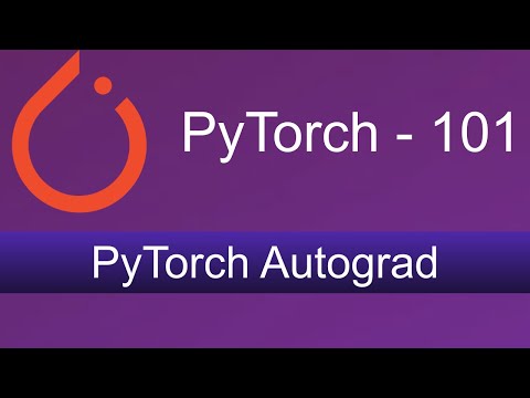 2. PyTorch Autograd