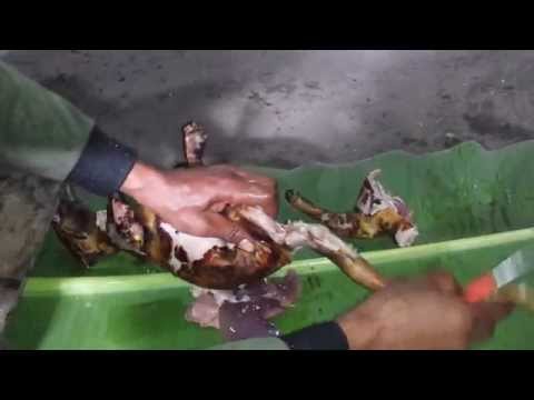 Wort ramuan sifat St John potensi Pada usia impotensi