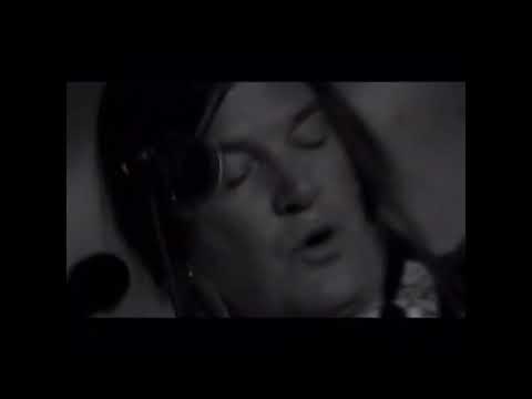 ⭒ THE DANDY WARHOLS ⭒ Lose Yr Mind Fest ⭒ 9/2/2022 | Part 1