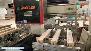 MÁY KHOAN LỖ MỘNG ÂM 3 ĐẦU | WM-1500-3CNC | Woodmaster VietNam
