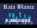 Rata Blanca - Caballo Salvaje. (Cosquín Rock Online 2020).