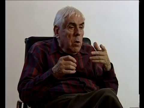 Raoul Coutard - The important role of cinematography in cinema (54/179)