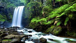 Cosmic Lights: A 2001-2005 Shoegaze/Dream Pop Mix