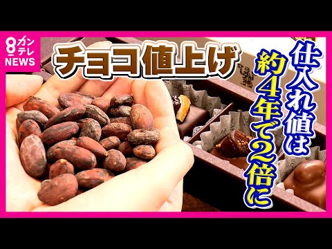 バレンタイン危機！カカオ価格2倍に高騰　国産栽培や「代替チョコ」で打開策模索する日本　「安い時代には戻らない」専門家が警鐘｜newsランナー〈カンテレNEWS〉
