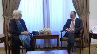 Meeting of Foreign Minister of Armenia Zohrab Mnatsakanyan with the Council of Europe Commissioner for Human Rights