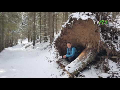 LA PAS PRIN OLTENIA - CERNA VAIDEENI