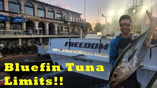 Bluefin Tuna Limits! Freedom 22nd st Landing