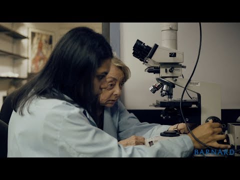 Summer Research Institute 2018: Circadian Rhythm