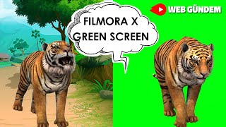 FİLMORA X GREEN SCREEN