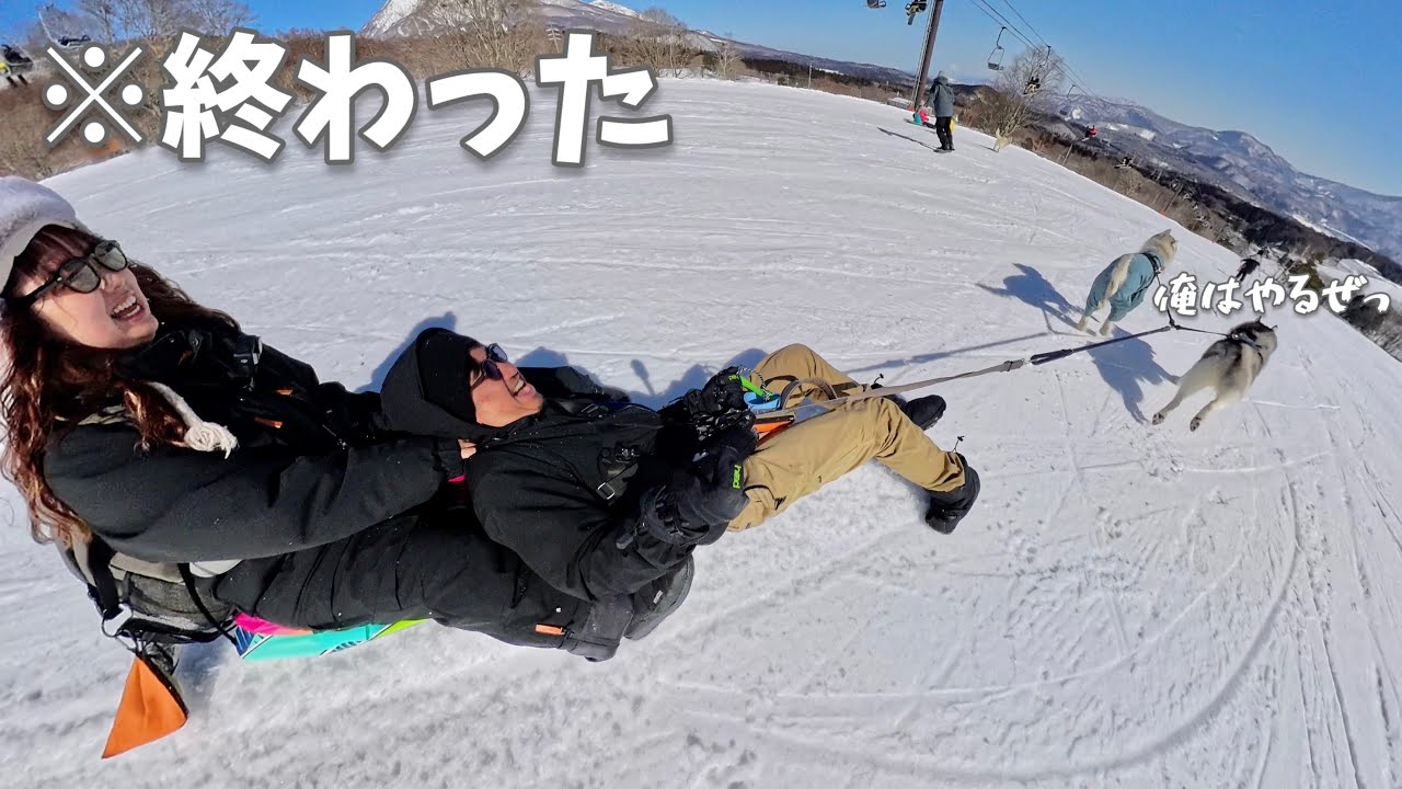 【ヤバい】初めて二人乗りで犬ぞりしたら大変なことになった... 【シベリアンハスキー】