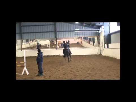 Jumper mare Graf Top / Singuler Joter