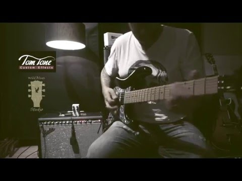 Scott Henderson Tone - Dolemite Cover with Tom Tone TT Preamp by Fulvio Oliveira