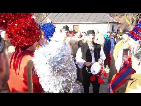 Craii de la Campu lui Neag , Uricani 2022.