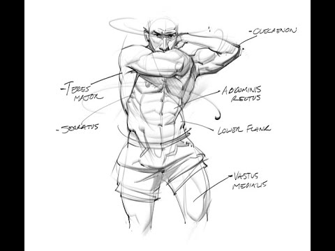 Morning Drawing Exercise!