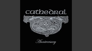 Night of the Seagulls (Live)