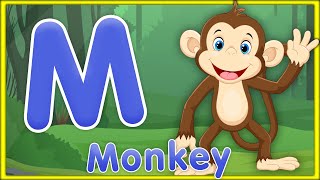 Letter M | Monkey, Map, Mouse, Moon - Learn Letter M